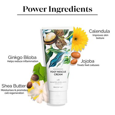 https://cdn.shopify.com/s/files/1/1857/6931/files/AmADonny6p.png?v=1731321270